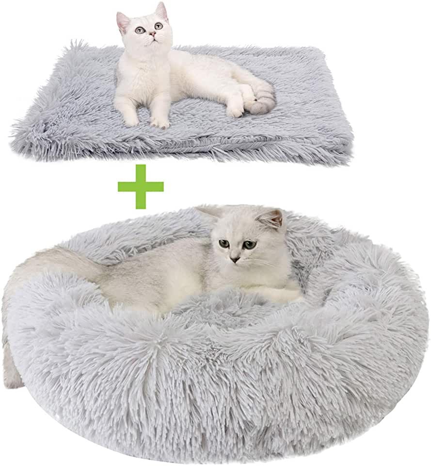 Dorakitten - Cama para gatos de interior con manta