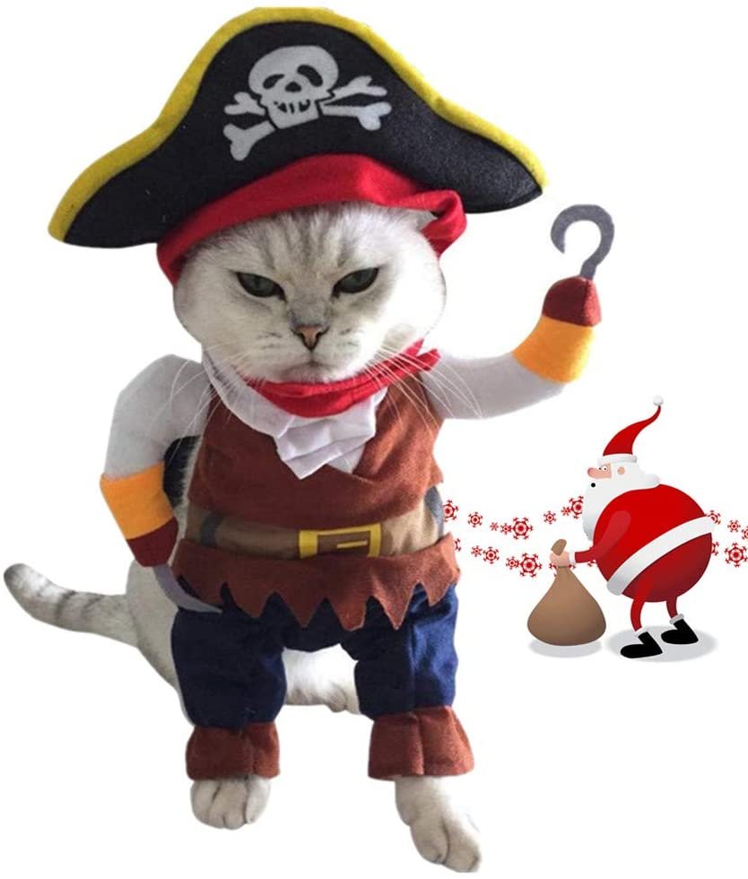 disfraz-de-gato-pirata