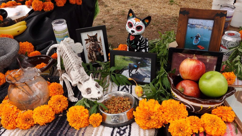 Persona poniendo una ofrenda para recordar a sus mascotas