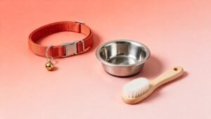 Collar, cuenco de acero y cepillo para gato